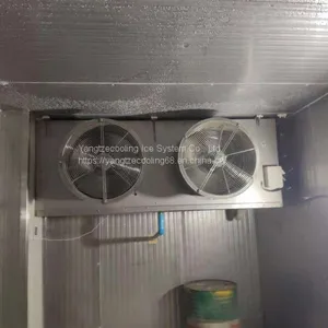 Blast Durian Cold Storage thumbnail-1