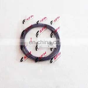 SAIC- IVECO 682 Series GENLYON Truck 994591750 O Ring Seal thumbnail-5