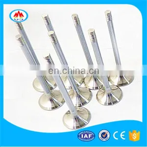 Gas Intake and Exhaust Engine Valves for Tcg 2032 12281423 12281435 thumbnail-4
