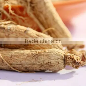 White Ginseng, Jilin Ginseng, Hot Sell Ginseng thumbnail-1
