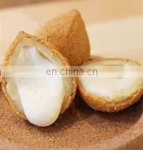 Kubba Falafel Arancini Coxinha Food Encrusting Machine For Sale thumbnail-3