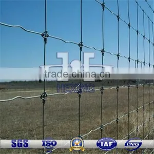 Galvanized Grassland Fence/Field Wire Mesh Fence thumbnail-1