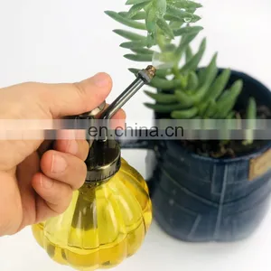 Gardening Plant Watering Glass Sprayer Fine Mist Spray Bottle With Plastic Top Pump thumbnail-3