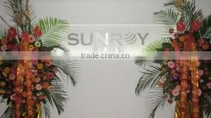 Sunroy International Inc. company overview - view 1 thumbnail