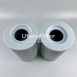 FBX-250X20C UTERS Replace Leemin Hydraulic Oil Filter Element thumbnail-2