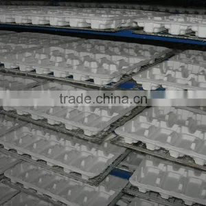 Good Quality 12 Holes Recycled Paper Molded Pulp Eggs Tray Factory thumbnail-2