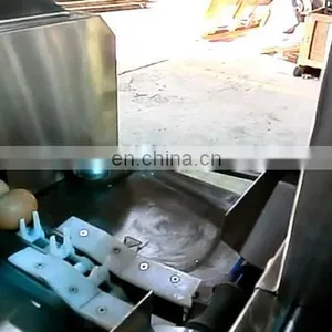 Small Capacity Egg Grader Machine thumbnail-5