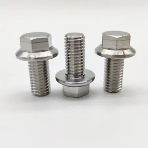 Titanium Fasteners Manufacturer Supplier, Gr5 Hex Head Bolt Kit OEM ODM Export thumbnail-2