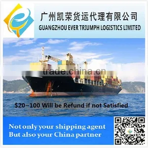 Guangzhou Shenzhen Shanghai Sea Freight Forwarder to Venezuela (DDU Shipping) thumbnail-1