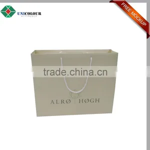 Custom Cheap Paper Gift Bags With Handle Selling Like Hotcakes thumbnail-5