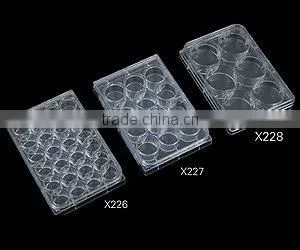 Culture Plate thumbnail-1