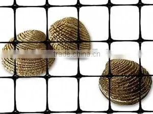 High Density Plastic Flat Netting for Oyster thumbnail-4