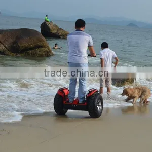 48V Li-ion Battery Powered Off Road 2 Wheel Self Balancing Electric Vehicle thumbnail-4
