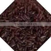 Automatic Instant Rice Processing Line/Nutritional Rice Machinery thumbnail-4