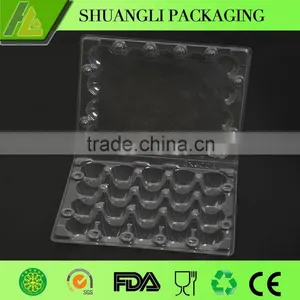 High Quality Clear Transparent Plastic Quail Egg Cartons for Sale thumbnail-5