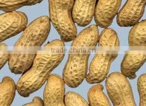 Peatnut thumbnail-1