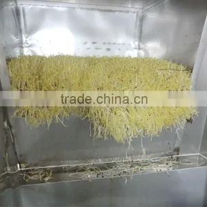 AliHot Bean Sprout Machine thumbnail-1