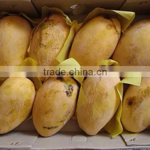 Fresh Chunsa Mango thumbnail-4