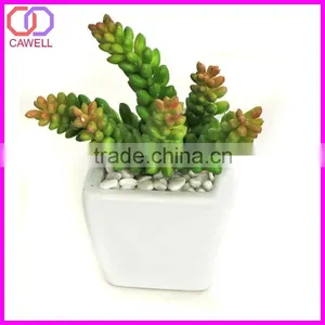 Wholesale Plastic Mini Artificial Succulent Plant in Pot for Garden Decoration thumbnail-5