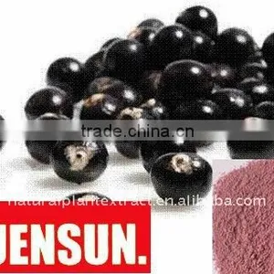 Acai Berry Extract thumbnail-1