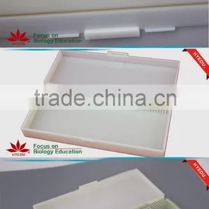Butterfly W.m. Slides, Glass Prepared Slides,Butterfly Mouthpart Prepared Slides thumbnail-5
