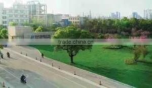Zhejiang Green New Materials Co., Ltd. company overview - view 3 thumbnail