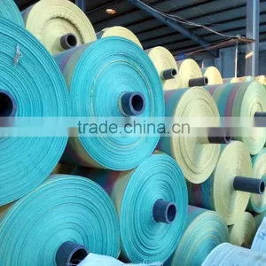 PP Fabric Roll Hot Sale in Ukraine,korea pp Woven Roll,PP Bulk Bag Roll pp Sack thumbnail-3