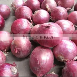 Chinese Red Onion Specification Fresh thumbnail-2