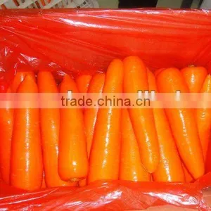 China Fresh Carrot 9kg/10kg Carton Pack thumbnail-1