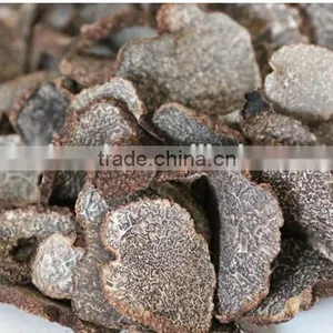 Market Prices for Mushrooms Dried Frozen Fresh Black Truffle thumbnail-4