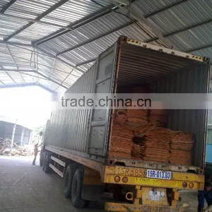NATURAL VENEER BEST SUPPLY SHORT CORE VENEER FOR KOREA MARKET thumbnail-4