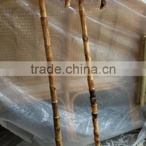 RATTAN WALKING STICK thumbnail-1
