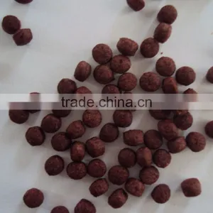 Pet Food Extruder thumbnail-6