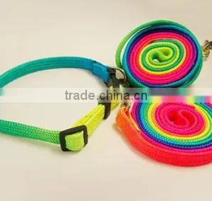 Pet Leash and Collar thumbnail-1