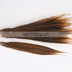 Best Quality 30-40cm Pheasant Feather thumbnail-2
