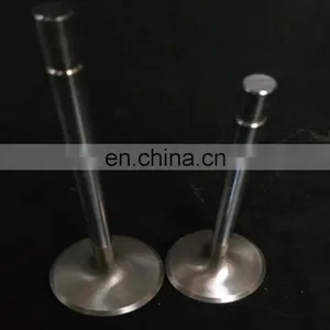 Custom Factory Engine Inlet Valve for Nissan Kicks March 2017 Car Engine Valve thumbnail-4