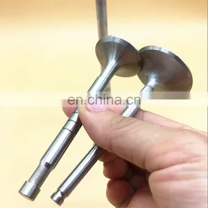 China Original Manufacturer ap Racing Engine Valve 06A 133 062 AP 06A 133 062 AT for Jetta 2v thumbnail-7
