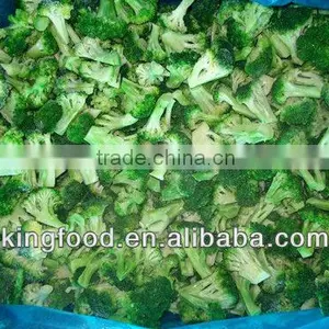 Export Frozen Fresh Broccoli Florets thumbnail-1