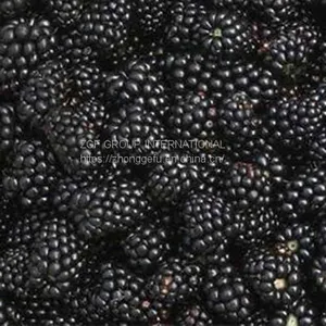 Frozen IQF Blackberry thumbnail-1