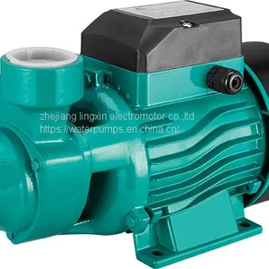 MICRO CLEAN WATER PUMP QB-60 thumbnail-1