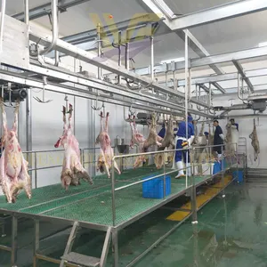 100–800 Heads Per Shift Sheep Goat Slaughter Line Customized Lamb Abattoir Machinery Manufacturer thumbnail-4