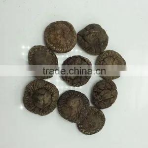 Dried Smooth Mushroom thumbnail-1