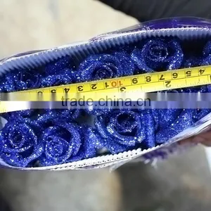 Beautiful Best-Selling Blue Flowers Roses thumbnail-3