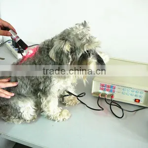 SN-902A Laser Veterinary Equipment thumbnail-3