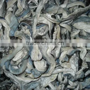 FROZEN SKIN PANGASIUS thumbnail-1