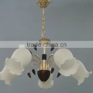 2016 Popular Flower Glass Ball Chandelier Lamps With Decorative Woods in China thumbnail-1