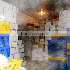 Frozen Lobster Vietnam thumbnail-6