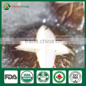 Nutritious Medicinal Fresh Dried Organic Pollution Free Shiitake Mushroom for Restaurant thumbnail-3