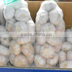 CHINA FRESH GARLIC thumbnail-1