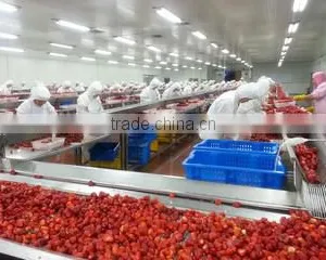 Qingdao DSF Foodstuff Co., Ltd. company overview - view 1 thumbnail